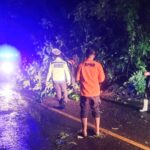 Sat Lantas Polres Tanggamus Bersama Instansi Terkait Tangani Longsor Akibat Pohon Tumbang di Batu Keramat