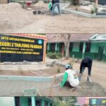 Hindari Becek Saat Hujan, SDN 2 Tanjung Pandan Swadaya Pasang Paving Block. Kepsek: Gedung Tua Mendesak Direhab